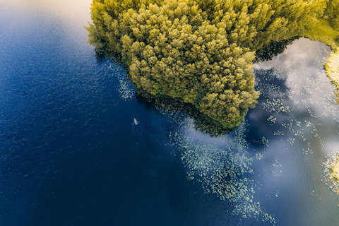 SGS Polska serdecznie zaprasza na szkolenie Audytor wewnętrzny systemu zarządzania środowiskowego wg ISO 14001:2015.